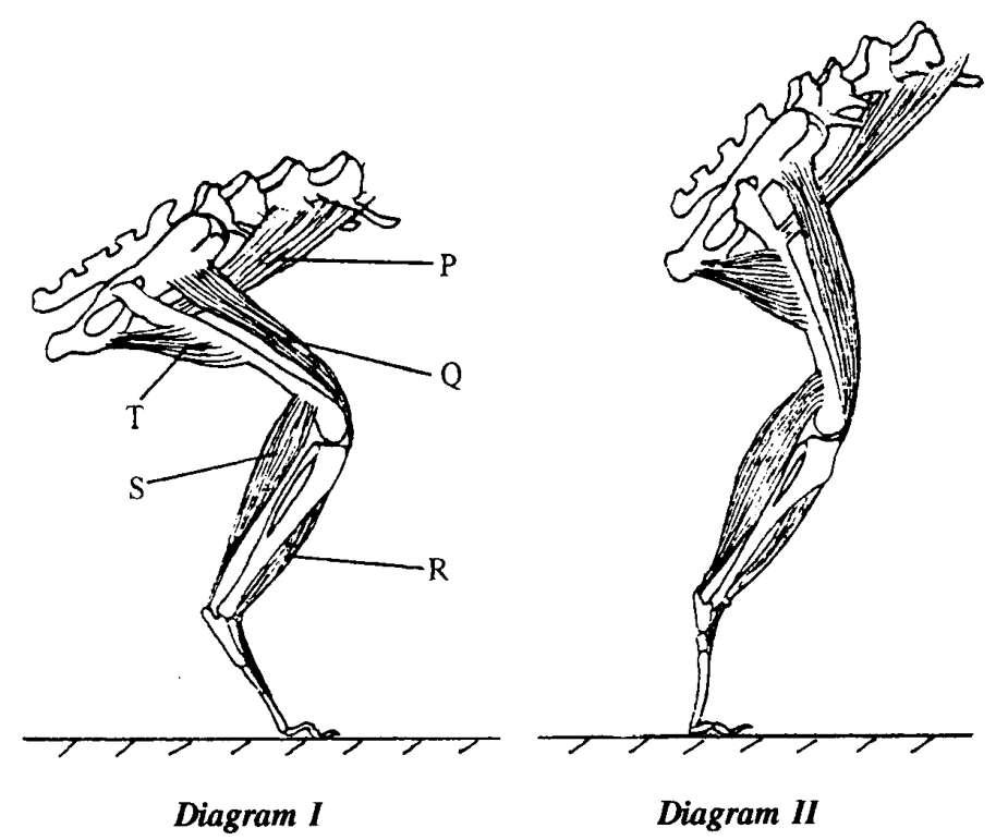 Question figure