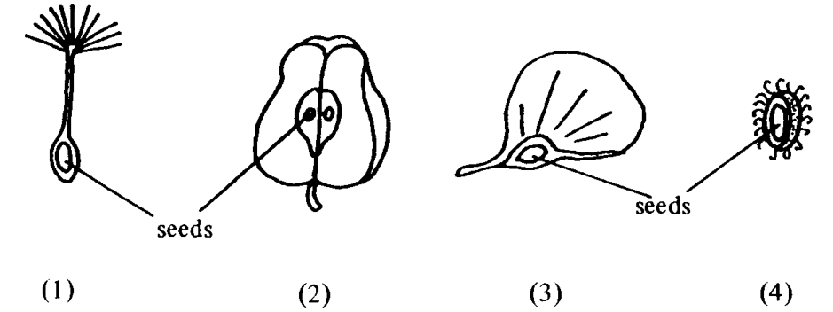 Question figure
