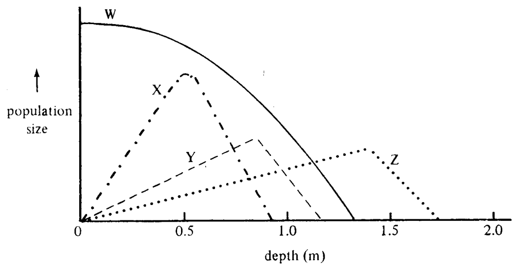 Question figure