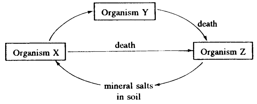 Question figure