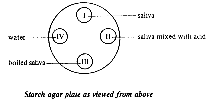Question figure