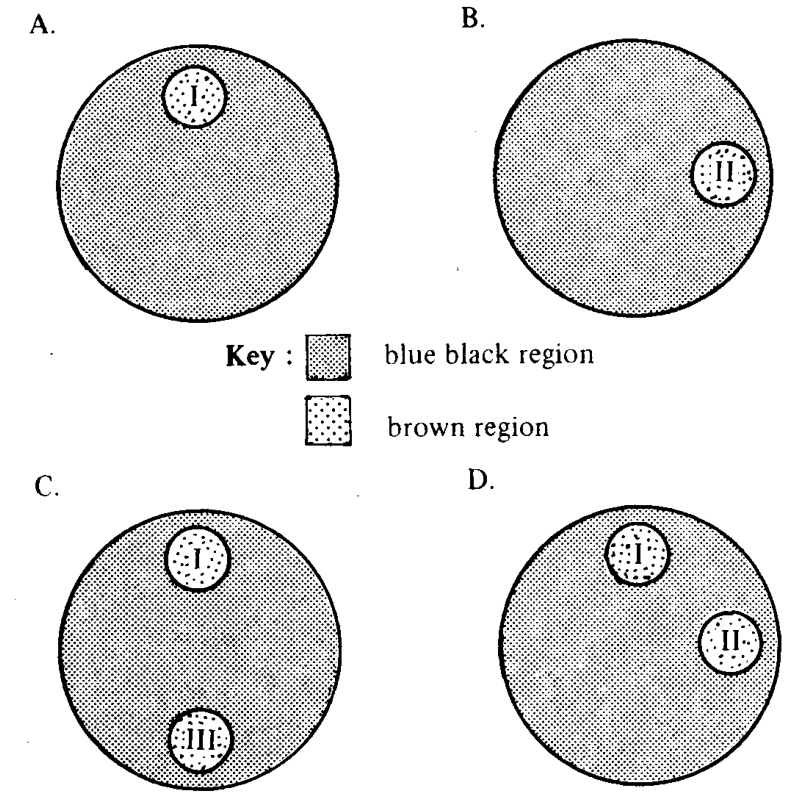 Question figure