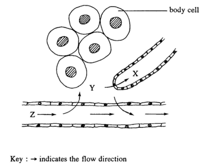 Question figure