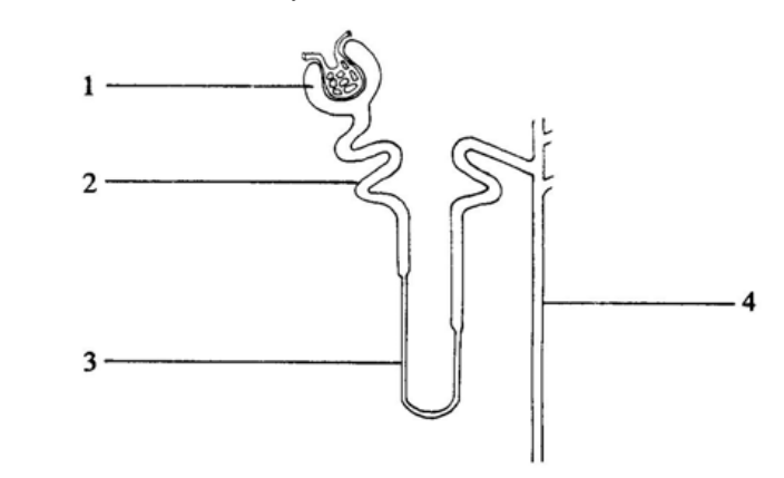 Question figure