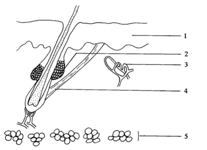 Question figure
