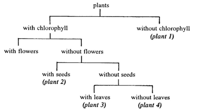 Question figure
