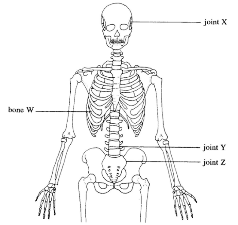 Question figure