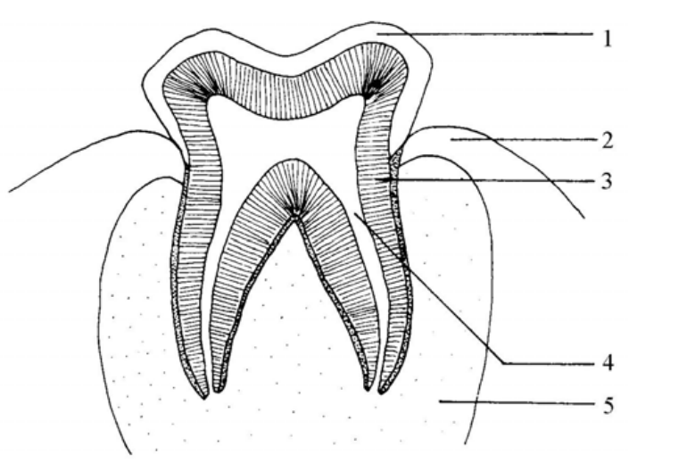 Question figure