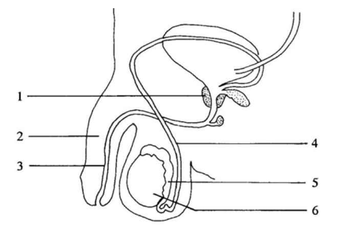 Question figure