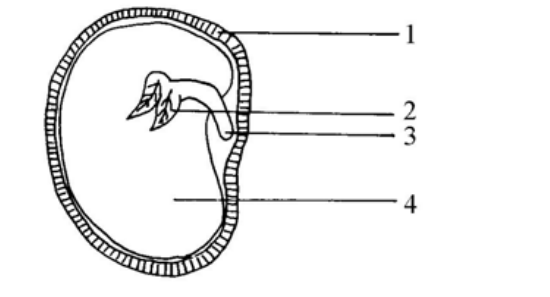 Question figure