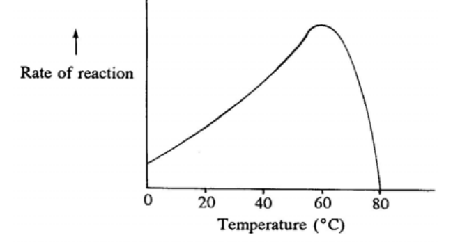 Question figure