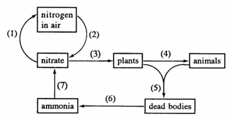 Question figure