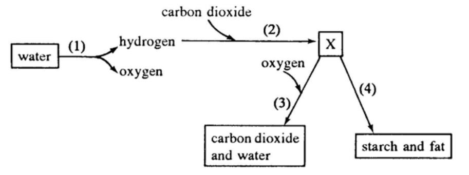 Question figure