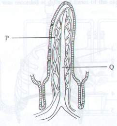 Question figure