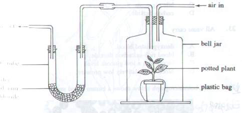 Question figure