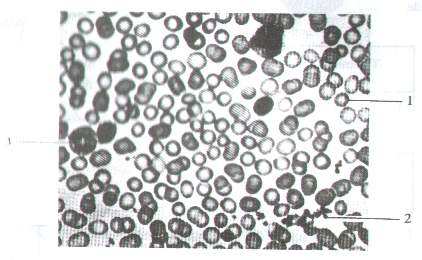 Question figure