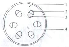 Question figure