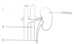 Question figure