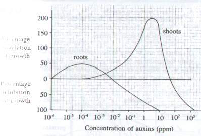 Question figure