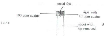 Question figure