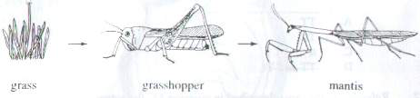 Question figure