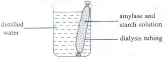 Question figure