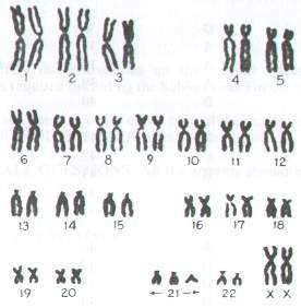 Question figure