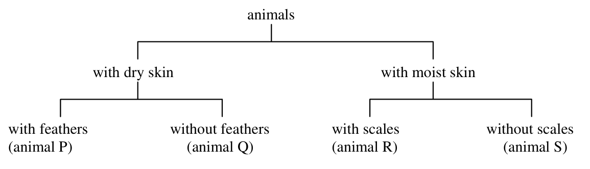 Question figure