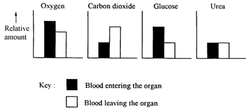 Bar charts for oxygen, carbon dioxide, glucose and urea in blood entering (black) and leaving (white) the organ