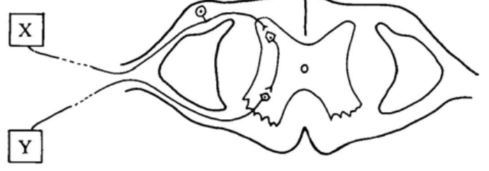 Question figure