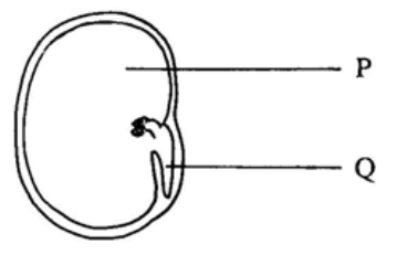 Question figure