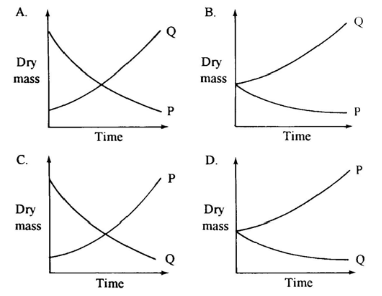 Graphs A to D of dry mass against time for P and Q