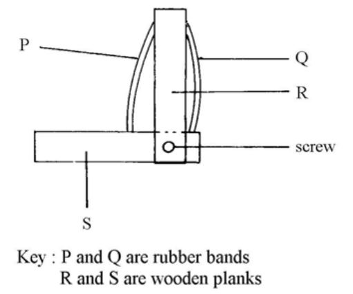 Model of the elbow joint: rubber bands P and Q, wooden planks R and S, joined by a screw