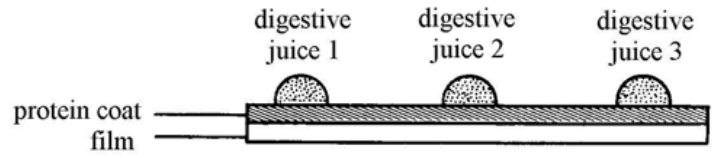Question figure