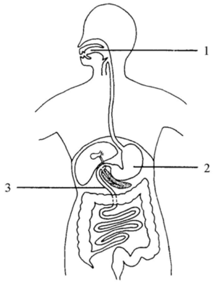 Question figure