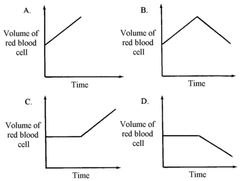 Question figure