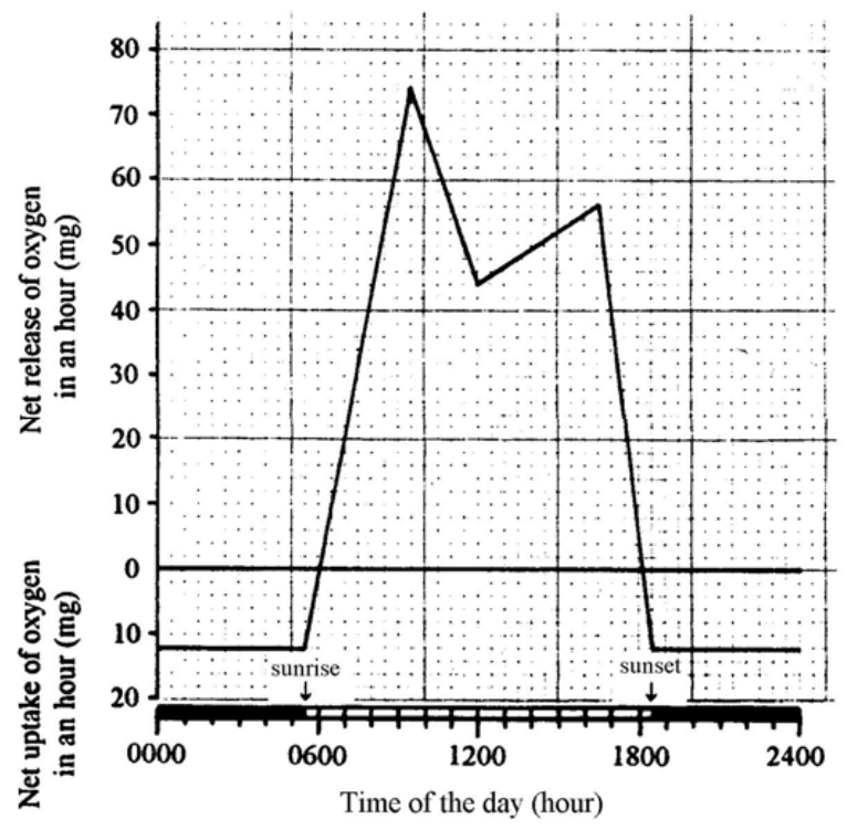 Question figure