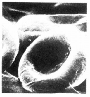 Question figure