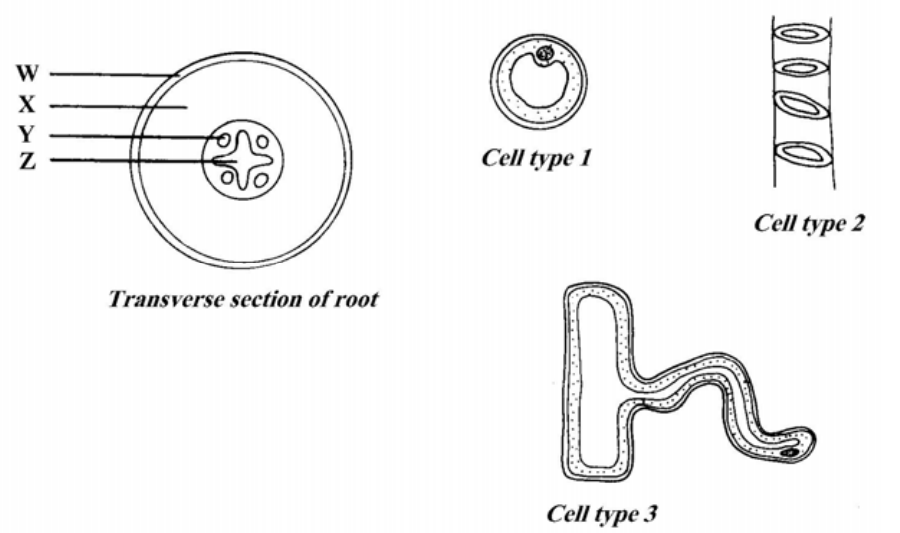 Question figure