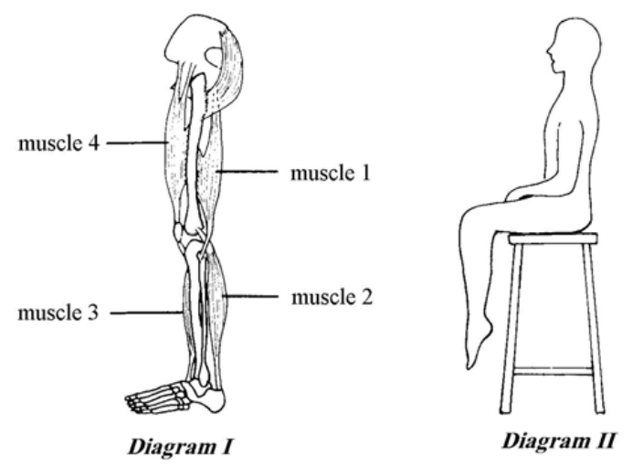 Question figure