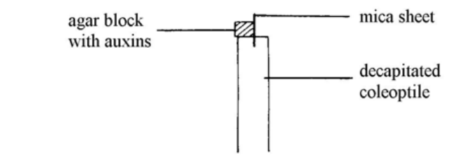 Question figure