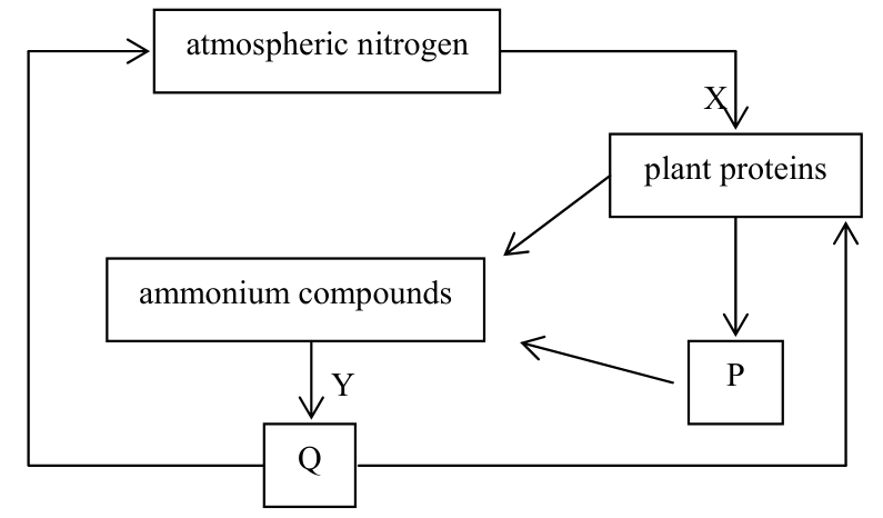Question figure