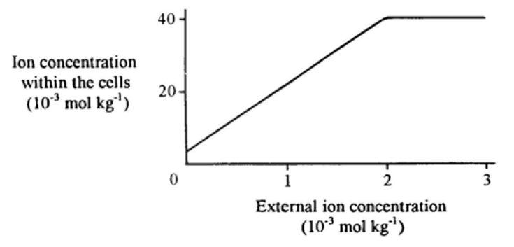 Question figure
