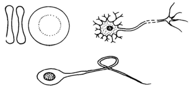 Question figure