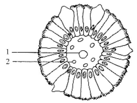 Question figure