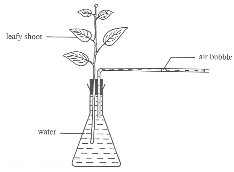 Question figure