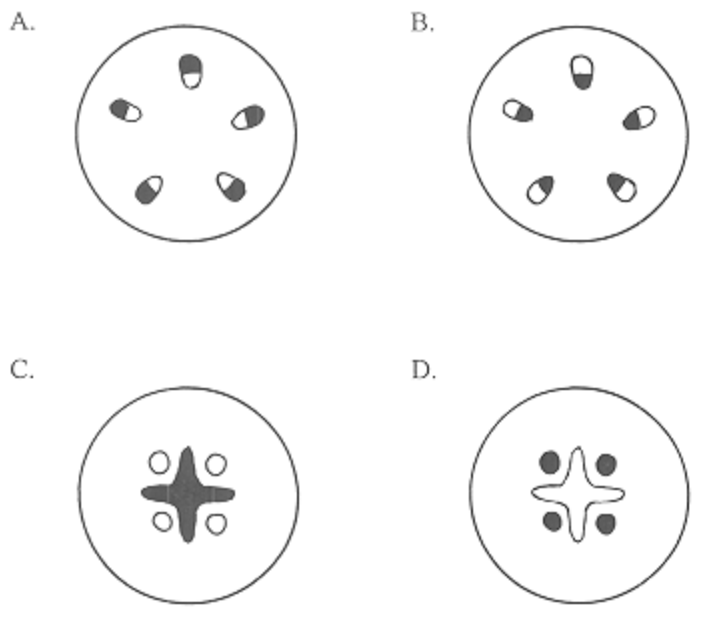 Question figure