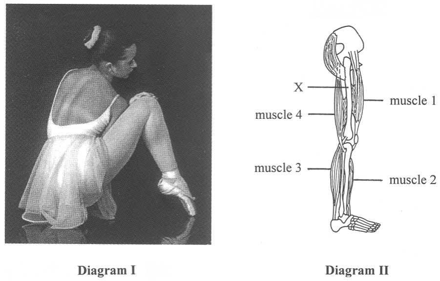 Question figure