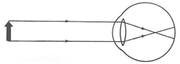 Question figure