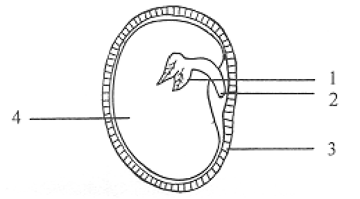 Question figure